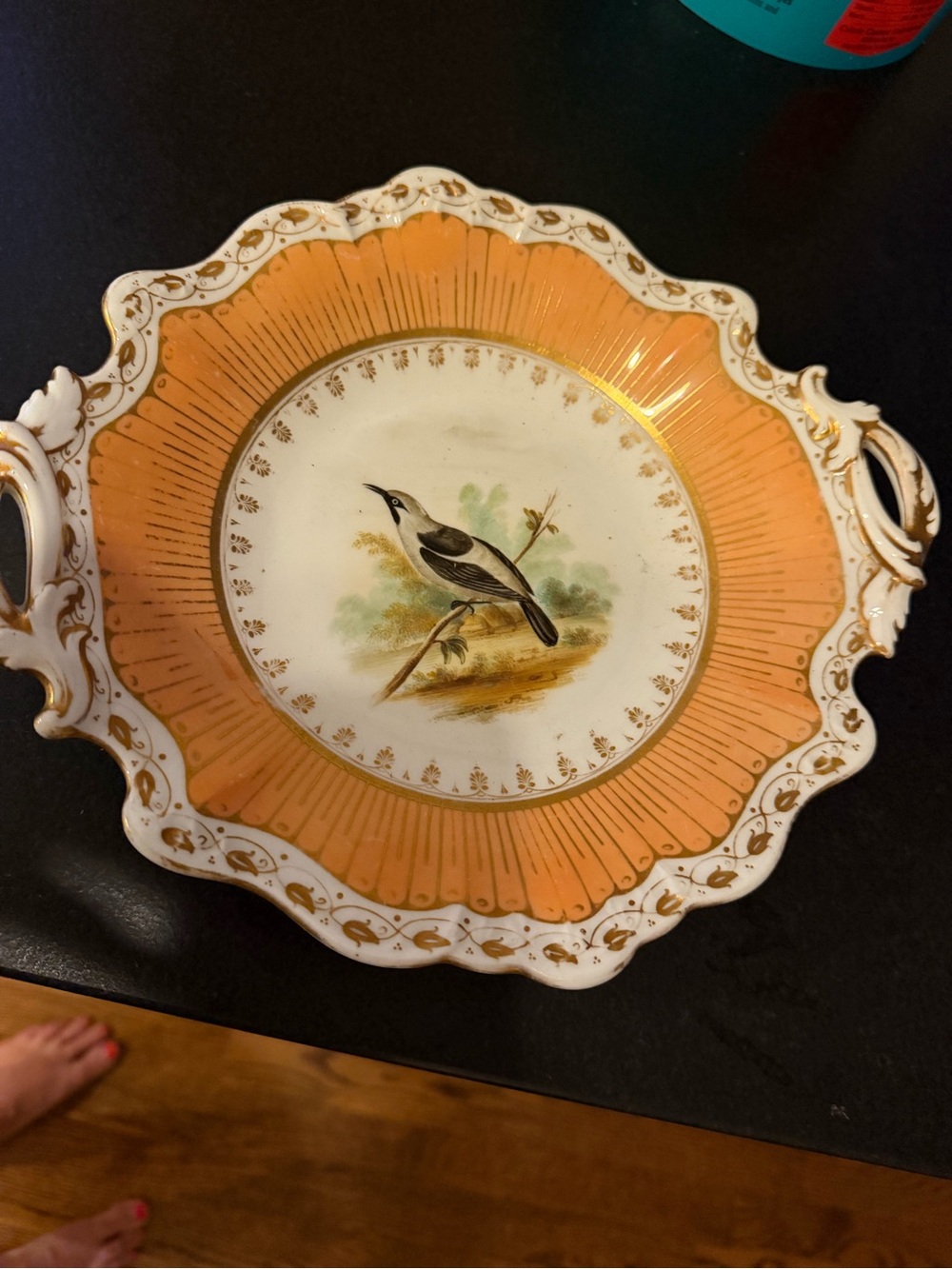 Antique Blue Headed Honey Sucker Plate Hand‎ Painted Bird